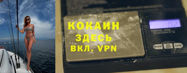 шишки Белокуриха
