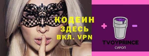 шишки Белокуриха