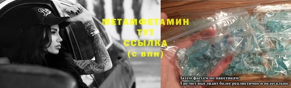 шишки Белокуриха