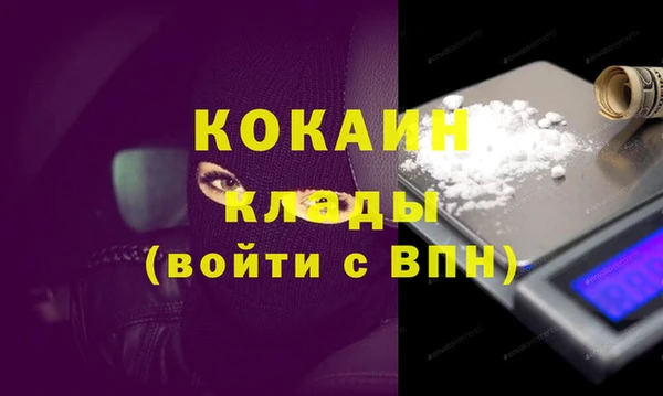 шишки Белокуриха