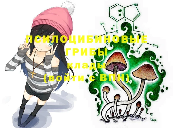 шишки Белокуриха