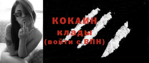 шишки Белокуриха