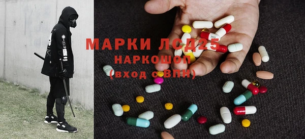 шишки Белокуриха