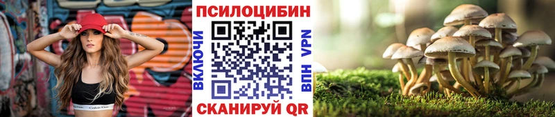 Галлюциногенные грибы MAGIC MUSHROOMS  Красный Холм 
